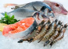 Seafood Distribution Company for sale in New York City